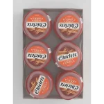 CHICLET 6X82.6G CANELA BOTTLE REF:10016154