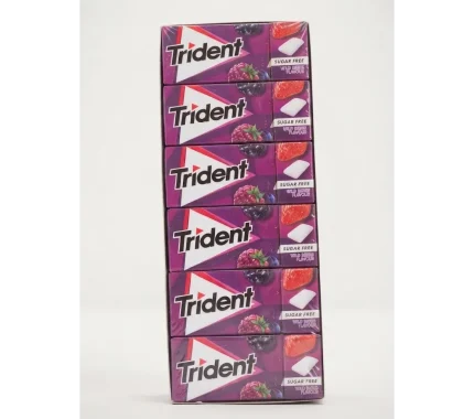 TRIDENT DRAGEIAS 24X14G FRUTOS SILVESTRES REF:4271853