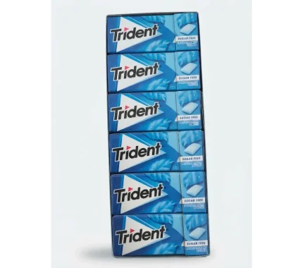 TRIDENT DRAGEIAS 24X14G PEPPERMINT REF:614596