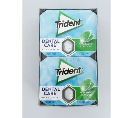 TRIDENT ORAL B SPEARMINT 12X17G 12CA REF:4254628
