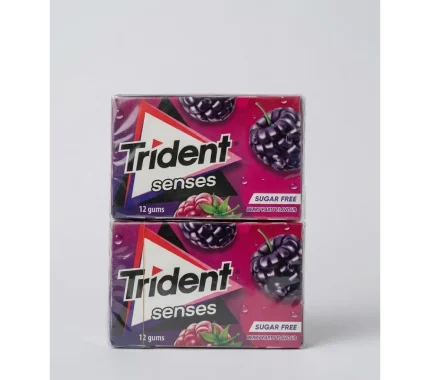 TRIDENT SENSES BERRY 23GRX12 REF. 4044438